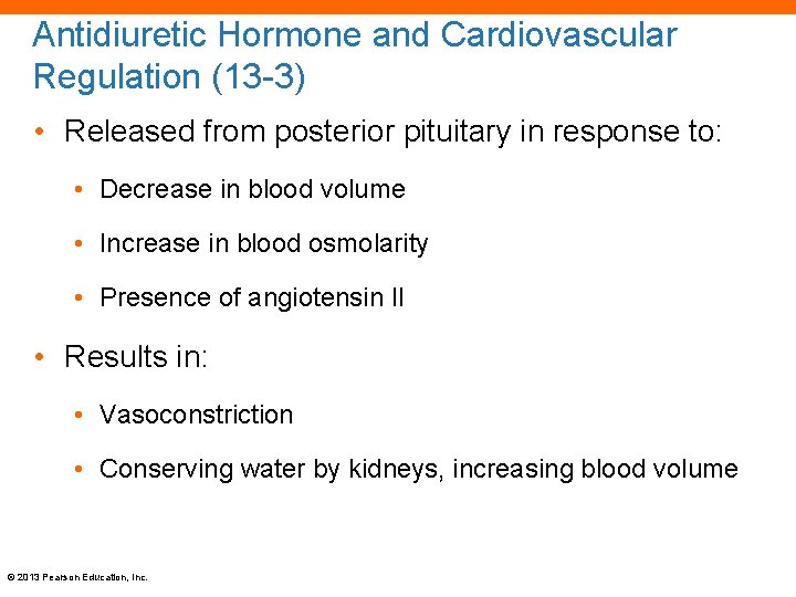 Antidiuretic Hormone and Cardiovascular Regulation (13 -3) • Released from posterior pituitary in response