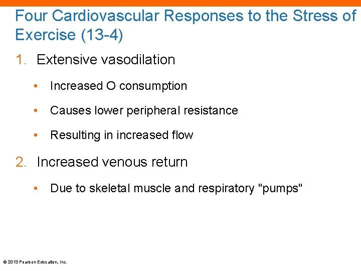 Four Cardiovascular Responses to the Stress of Exercise (13 -4) 1. Extensive vasodilation •