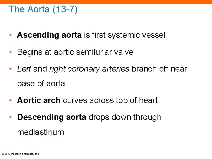 The Aorta (13 -7) • Ascending aorta is first systemic vessel • Begins at