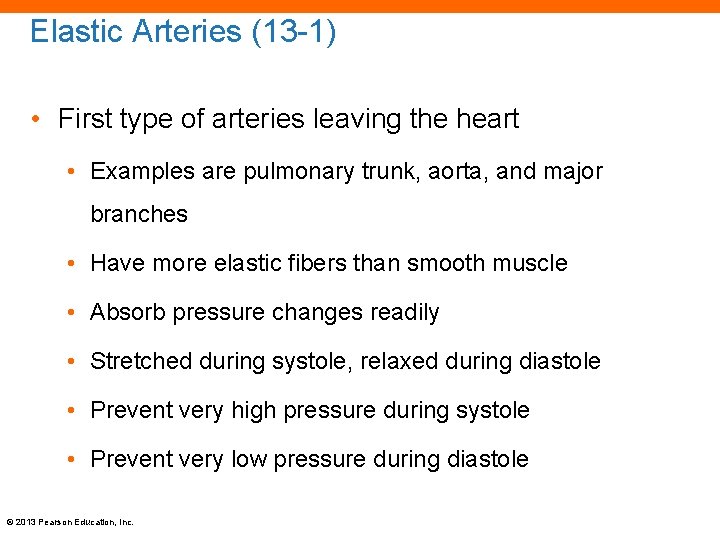 Elastic Arteries (13 -1) • First type of arteries leaving the heart • Examples