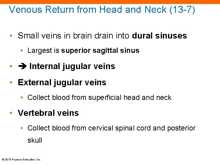 Venous Return from Head and Neck (13 -7) • Small veins in brain drain