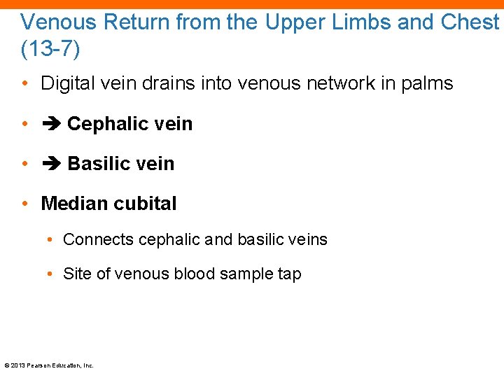 Venous Return from the Upper Limbs and Chest (13 -7) • Digital vein drains