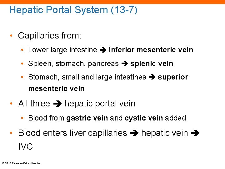 Hepatic Portal System (13 -7) • Capillaries from: • Lower large intestine inferior mesenteric