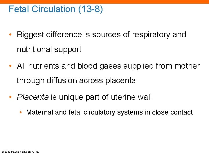 Fetal Circulation (13 -8) • Biggest difference is sources of respiratory and nutritional support