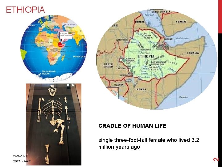 ETHIOPIA CRADLE OF HUMAN LIFE 2/24/2021 2017 - AAi. T 2 single three-foot-tall female ETHIOPIA CRADLE OF HUMAN LIFE 2/24/2021 2017 - AAi. T 2 single three-foot-tall female