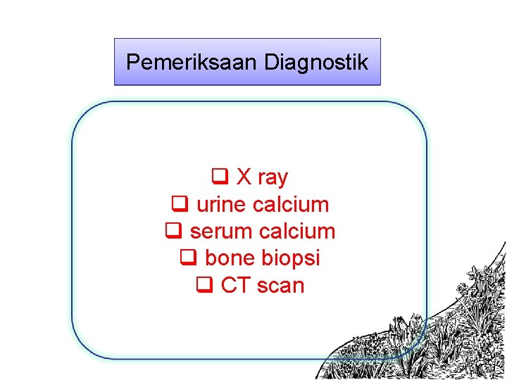 Pemeriksaan Diagnostik q X ray q urine calcium q serum calcium q bone biopsi