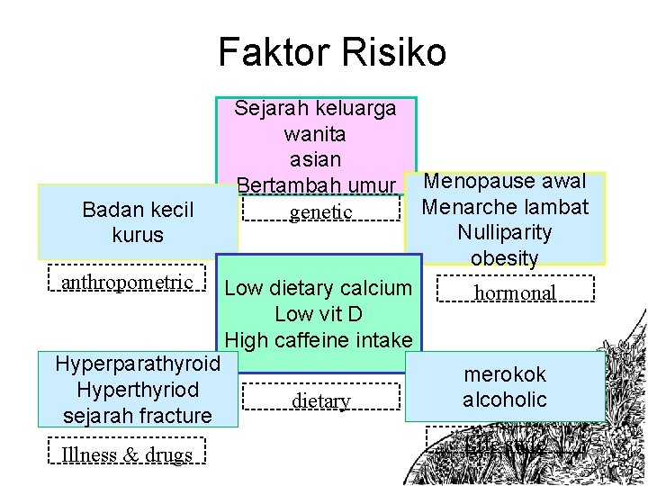 Faktor Risiko Badan kecil kurus anthropometric Hyperparathyroid Hyperthyriod sejarah fracture Illness & drugs Sejarah