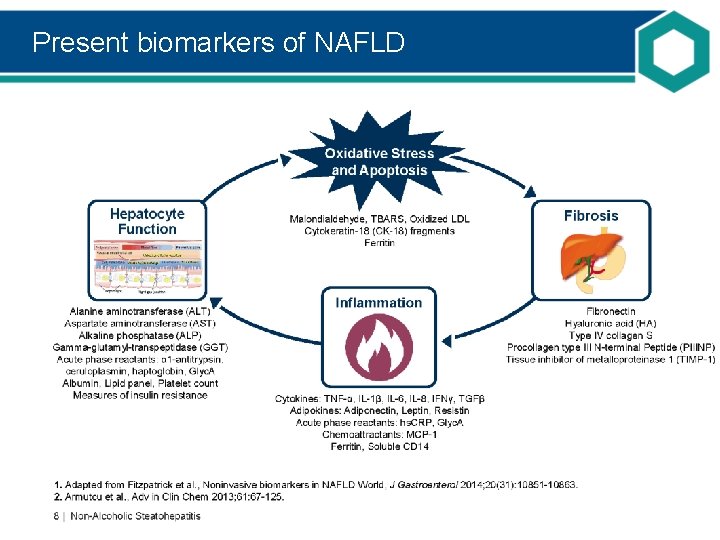 Present biomarkers of NAFLD 