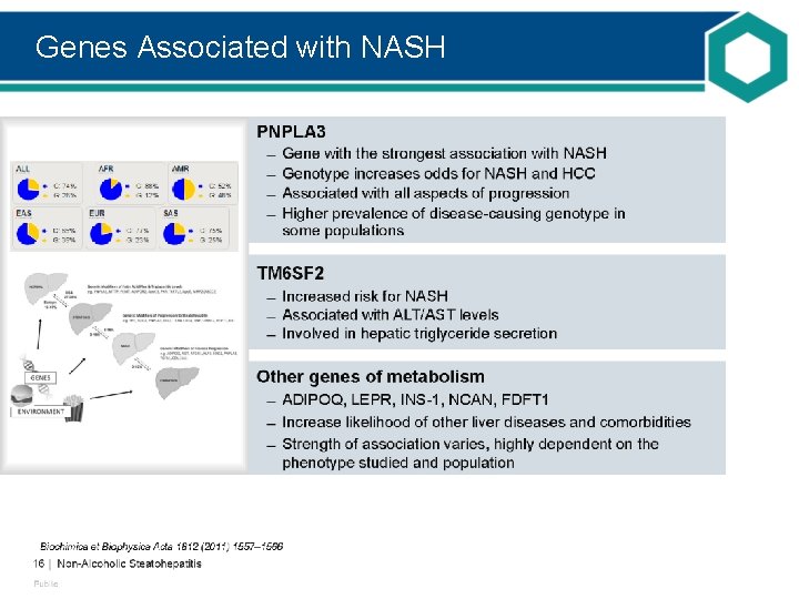 Genes Associated with NASH 