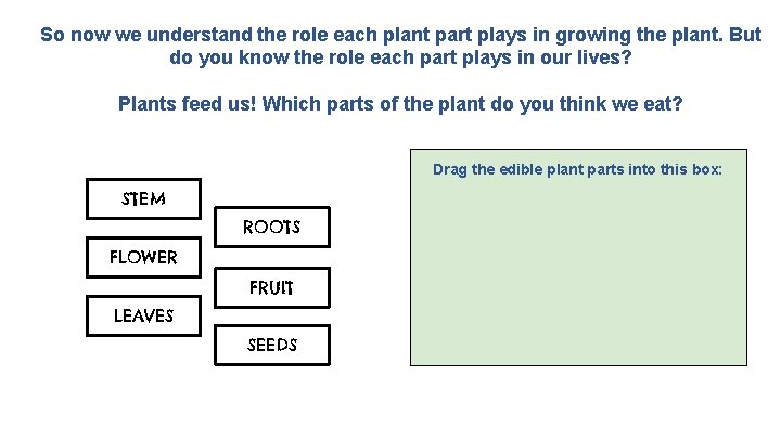 So now we understand the role each plant part plays in growing the plant.