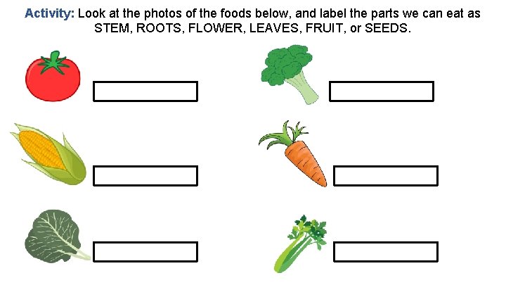 Activity: Look at the photos of the foods below, and label the parts we