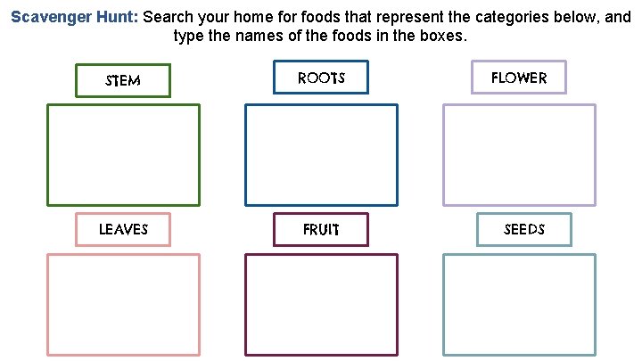 Scavenger Hunt: Search your home for foods that represent the categories below, and type
