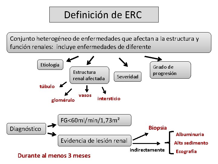 Definición de ERC Conjunto heterogéneo de enfermedades que afectan a la estructura y función