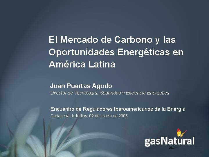 El Mercado de Carbono y las Oportunidades Energéticas en América Latina Juan Puertas Agudo