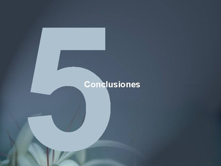 Conclusiones 