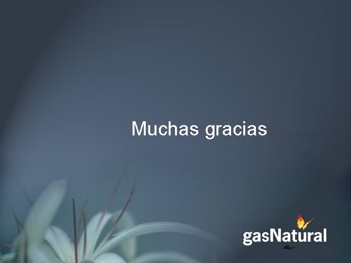 Muchas gracias 