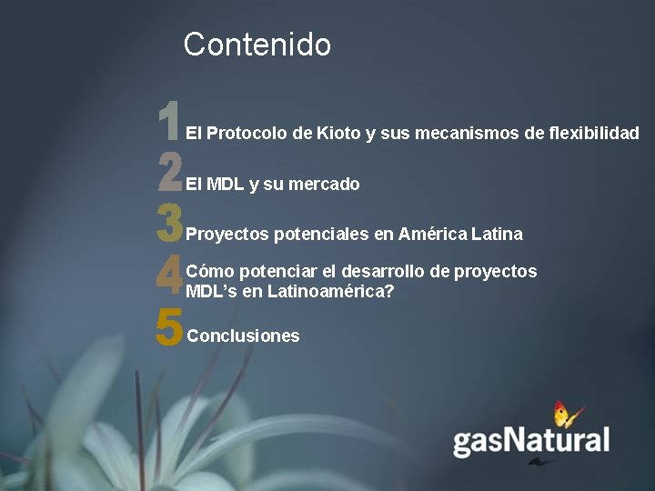 Contenido El Protocolo de Kioto y sus mecanismos de flexibilidad El MDL y su