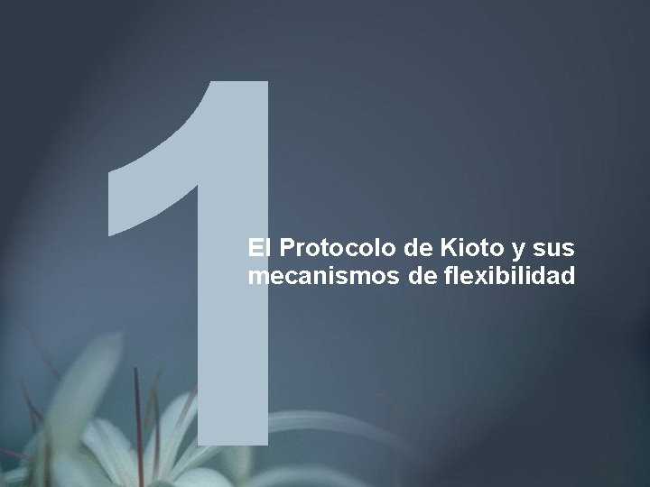 El Protocolo de Kioto y sus mecanismos de flexibilidad 