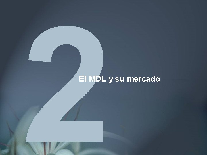 El MDL y su mercado 