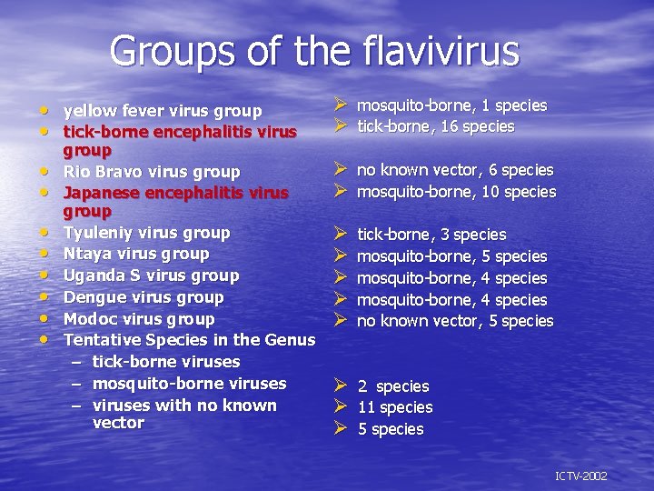 Groups of the flavivirus • • • yellow fever virus group tick-borne encephalitis virus