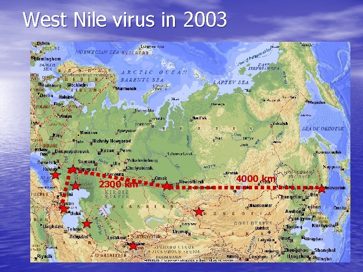 West Nile virus in 2003 2300 km 4000 km 