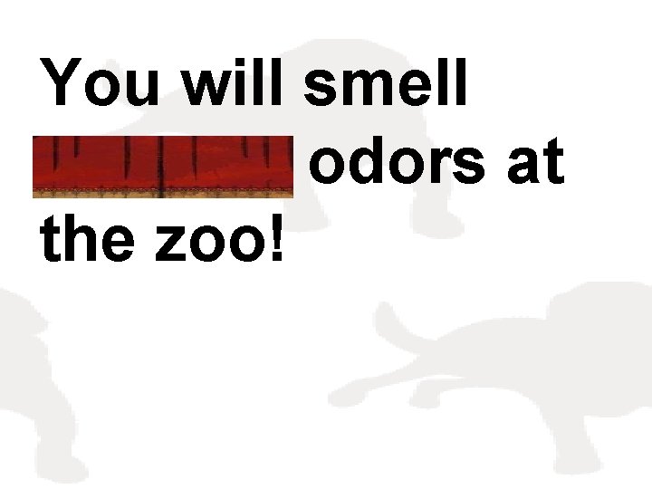 You will smell peculiar odors at the zoo! 