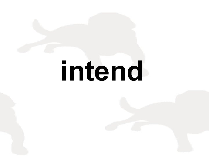 intend 