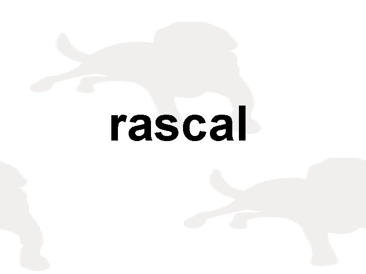 rascal 