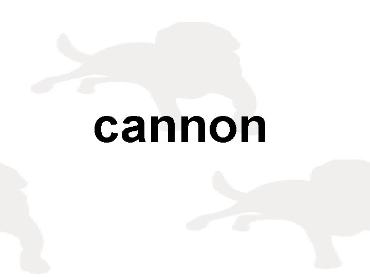 cannon 