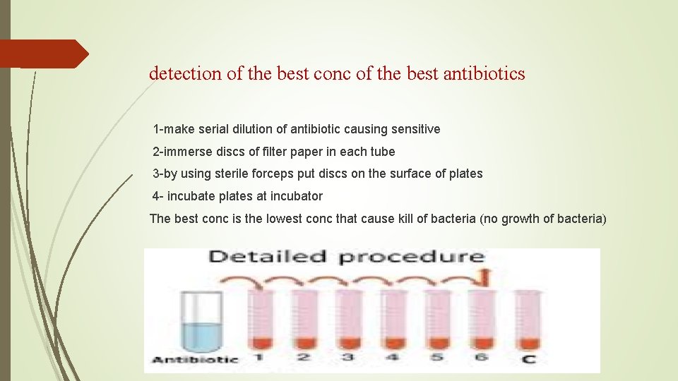 detection of the best conc of the best antibiotics 1 -make serial dilution of