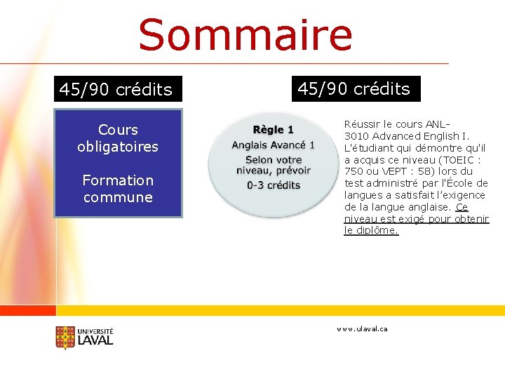 Sommaire 45/90 crédits Cours obligatoires Formation commune 45/90 crédits Réussir le cours ANL 3010
