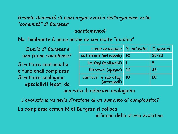 Grande diversità di piani organizzativi dell’organismo nella “comunità” di Burgess: adattamento? No: l’ambiente è