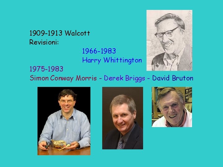 1909 -1913 Walcott Revisioni: 1966 -1983 Harry Whittington 1975 -1983 Simon Conway Morris -