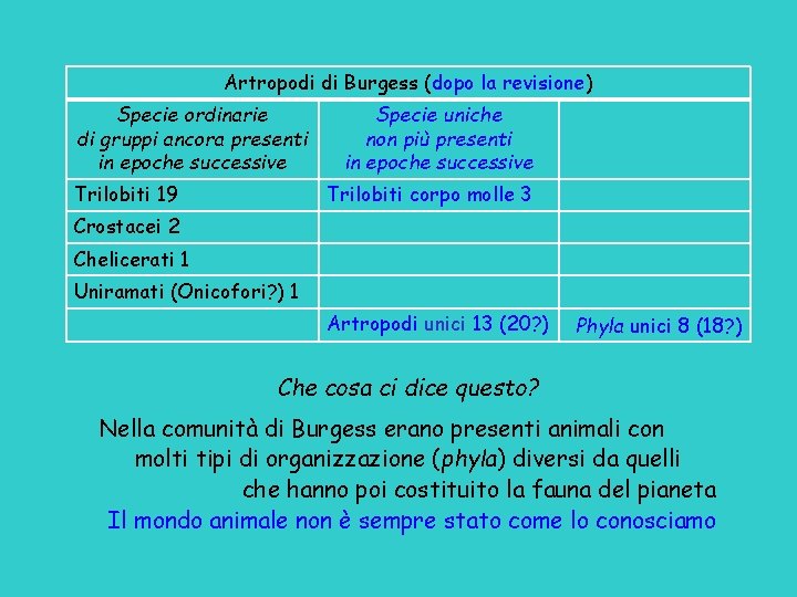 Artropodi di Burgess (dopo la revisione) Specie ordinarie di gruppi ancora presenti in epoche