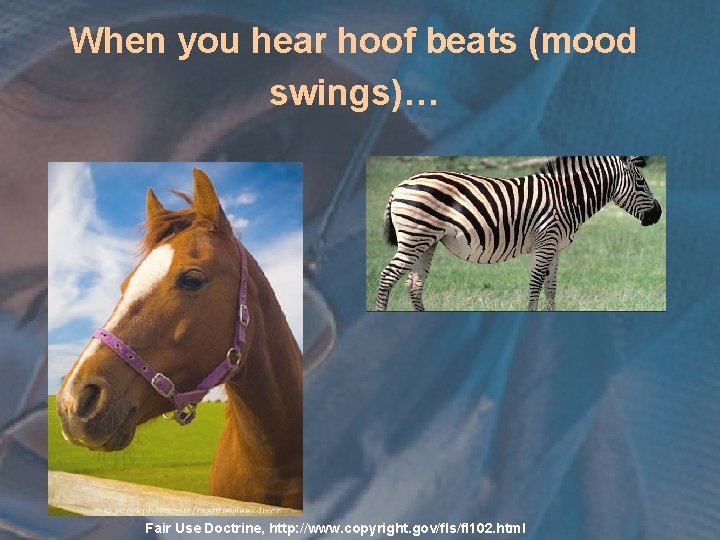 When you hear hoof beats (mood swings)… Fair Use Doctrine, http: //www. copyright. gov/fls/fl