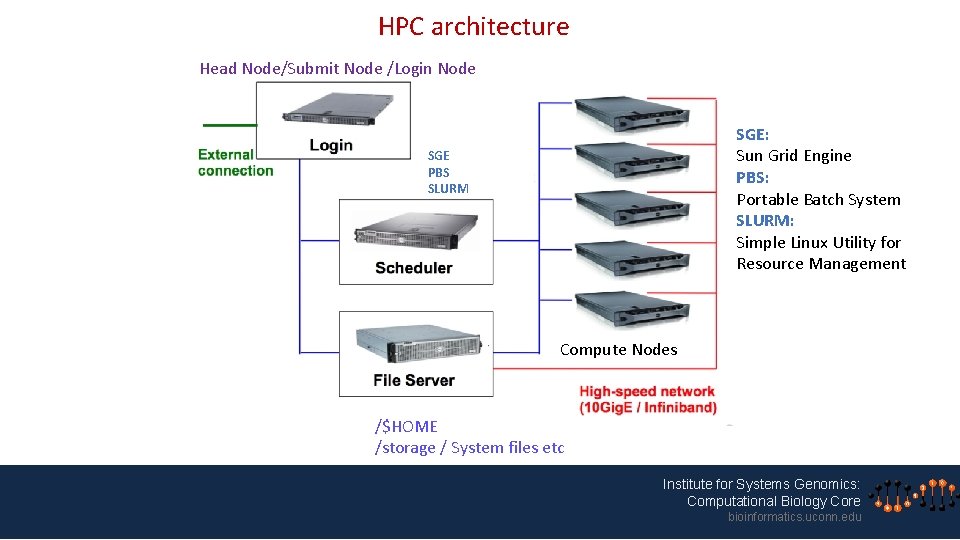 HPC architecture Head Node/Submit Node /Login Node SGE: Sun Grid Engine PBS: Portable Batch