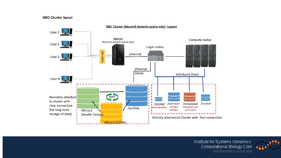 Institute for Systems Genomics: Computational Biology Core bioinformatics. uconn. edu 