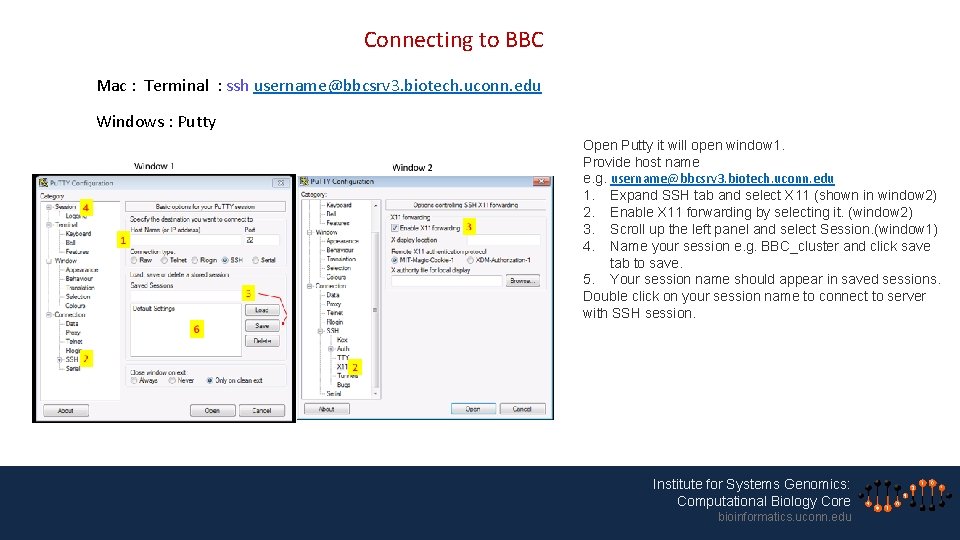Connecting to BBC Mac : Terminal : ssh username@bbcsrv 3. biotech. uconn. edu Windows