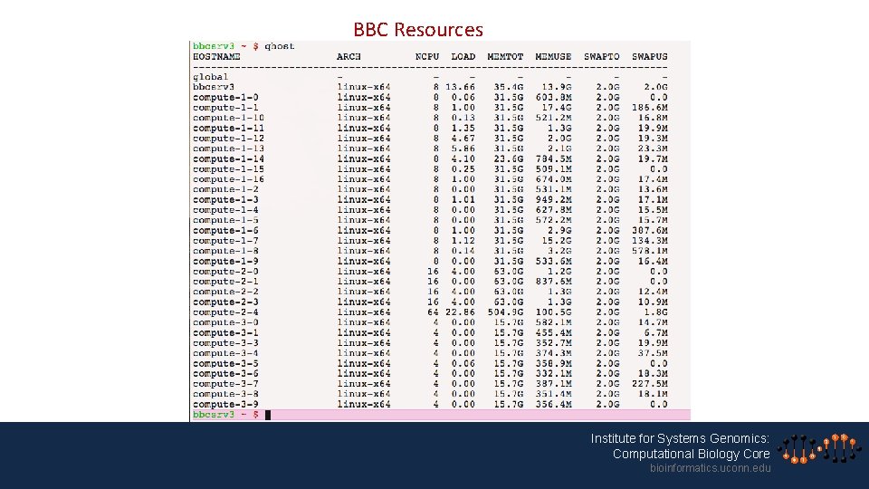 BBC Resources Institute for Systems Genomics: Computational Biology Core bioinformatics. uconn. edu 