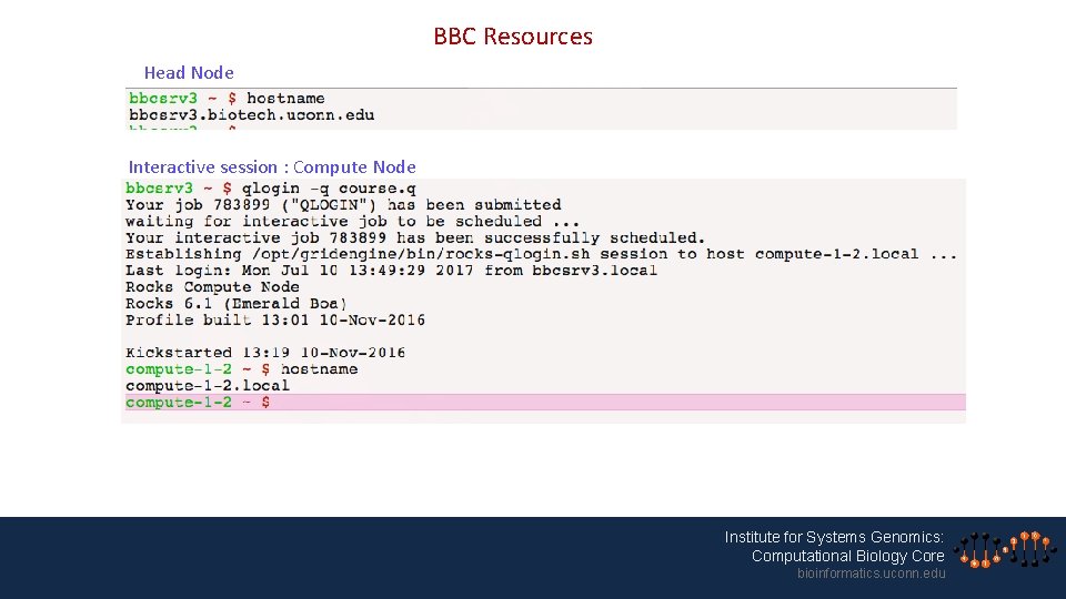 BBC Resources Head Node Interactive session : Compute Node Institute for Systems Genomics: Computational