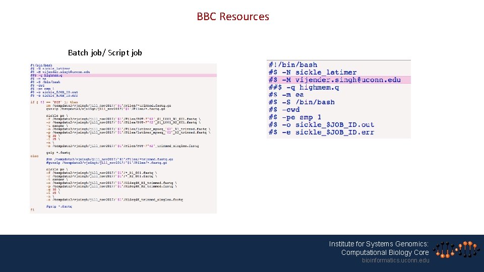 BBC Resources Batch job/ Script job Institute for Systems Genomics: Computational Biology Core bioinformatics.