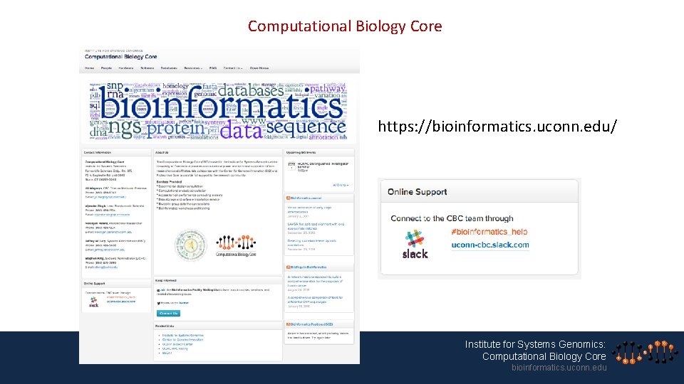 Computational Biology Core https: //bioinformatics. uconn. edu/ Institute for Systems Genomics: Computational Biology Core