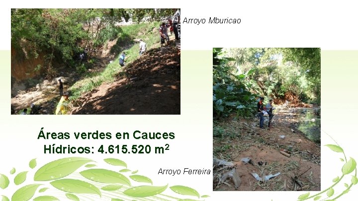 Arroyo Mburicao Áreas verdes en Cauces Hídricos: 4. 615. 520 m 2 Arroyo Ferreira
