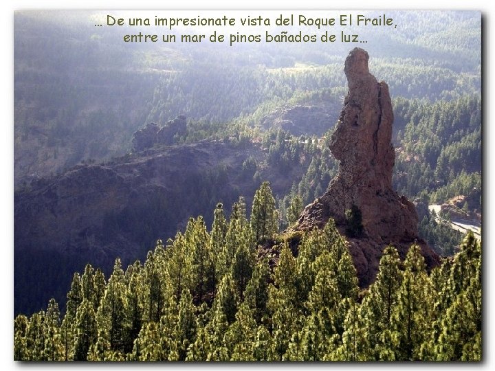 … De una impresionate vista del Roque El Fraile, entre un mar de pinos