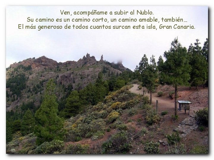 Ven, acompáñame a subir al Nublo. Su camino es un camino corto, un camino