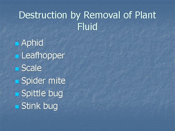 Destruction by Removal of Plant Fluid Aphid n Leafhopper n Scale n Spider mite