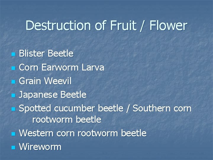 Destruction of Fruit / Flower n n n n Blister Beetle Corn Earworm Larva