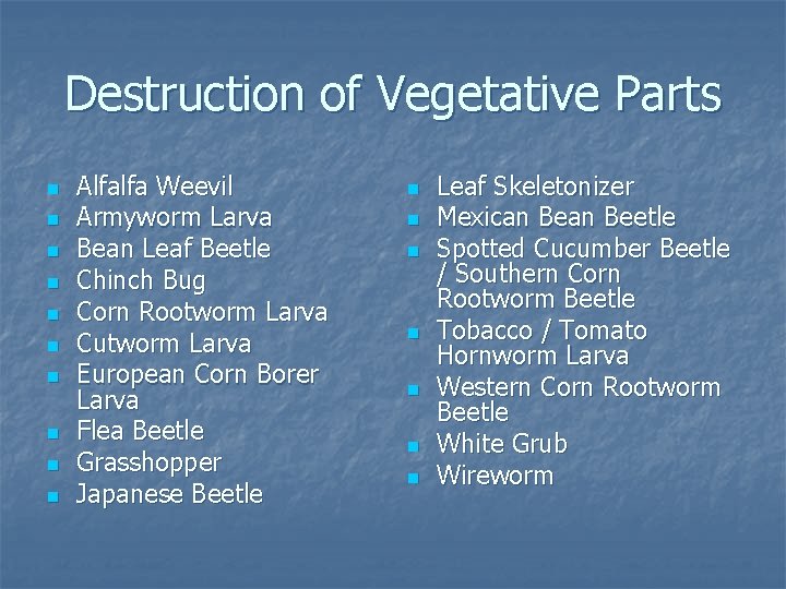 Destruction of Vegetative Parts n n n n n Alfalfa Weevil Armyworm Larva Bean