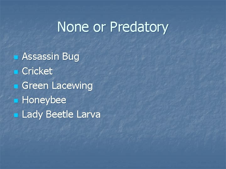 None or Predatory n n n Assassin Bug Cricket Green Lacewing Honeybee Lady Beetle