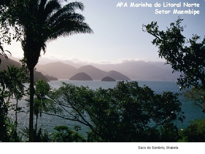 APA Marinha do Litoral Norte Setor Maembipe Saco do Sombrio, Ilhabela 